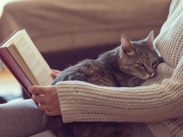 TOXOPLASMA
